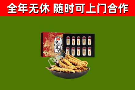 龙胜县回收冬虫夏草价格